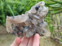 Natural Smokey Quartz With Schorl Black Tourmaline Specimens x 5 From Erongo, Namibia