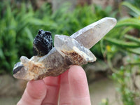 Natural Smokey Quartz With Schorl Black Tourmaline Specimens x 5 From Erongo, Namibia