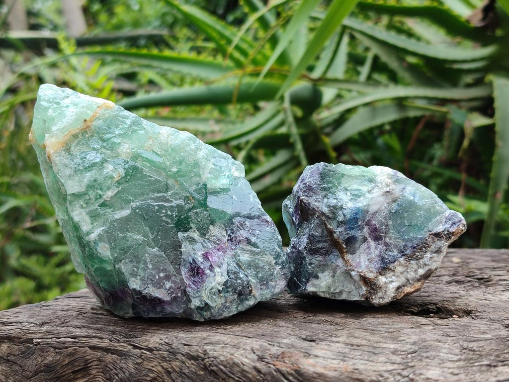 Natural Watermelon Fluorite Cobbed Specimens x 12 From Uis, Namibia
