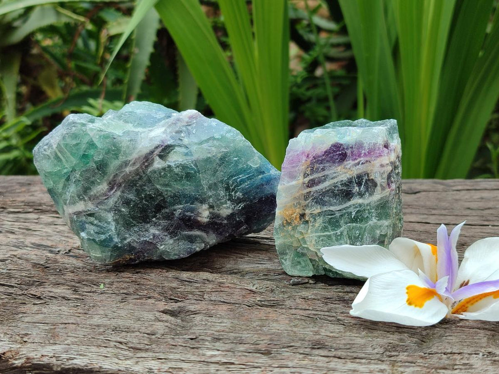 Natural Watermelon Fluorite Cobbed Specimens x 12 From Uis, Namibia