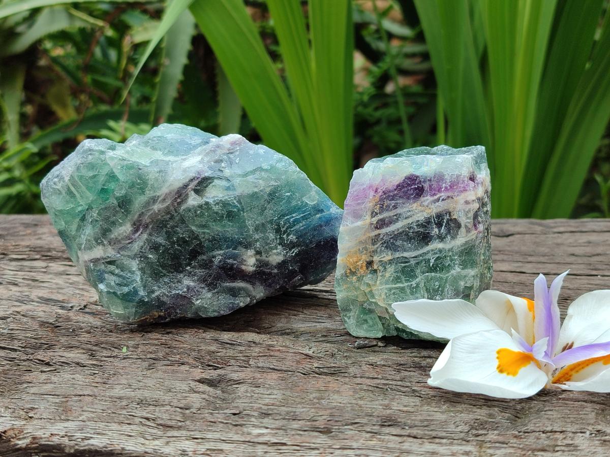 Natural Watermelon Fluorite Cobbed Specimens x 12 From Uis, Namibia