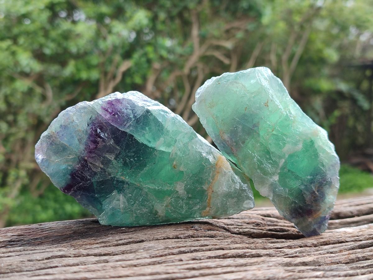 Natural Watermelon Fluorite Cobbed Specimens x 12 From Uis, Namibia