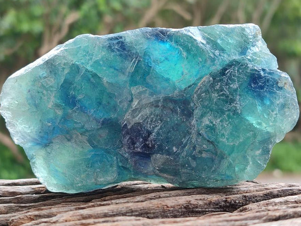 Natural Watermelon Fluorite Cobbed Specimens x 12 From Uis, Namibia