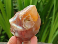 Polished Flower Agate Flames x 6 From Antsahalova, Madagascar