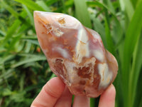 Polished Flower Agate Flames x 6 From Antsahalova, Madagascar