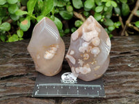 Polished Flower Agate Flames x 6 From Antsahalova, Madagascar