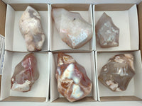 Polished Flower Agate Flames x 6 From Antsahalova, Madagascar