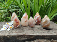 Polished Flower Agate Flames x 6 From Antsahalova, Madagascar