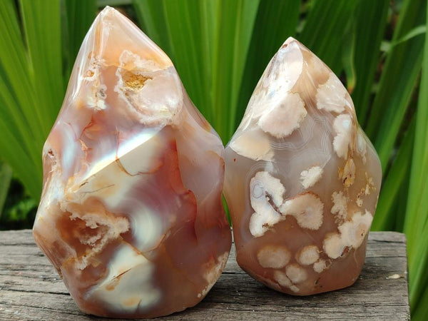 Polished Flower Agate Flames x 6 From Antsahalova, Madagascar