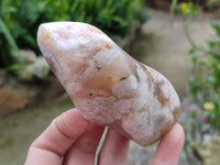 Polished Flower Agate Flames x 6 From Antsahalova, Madagascar