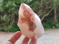 Polished Flower Agate Flames x 6 From Antsahalova, Madagascar