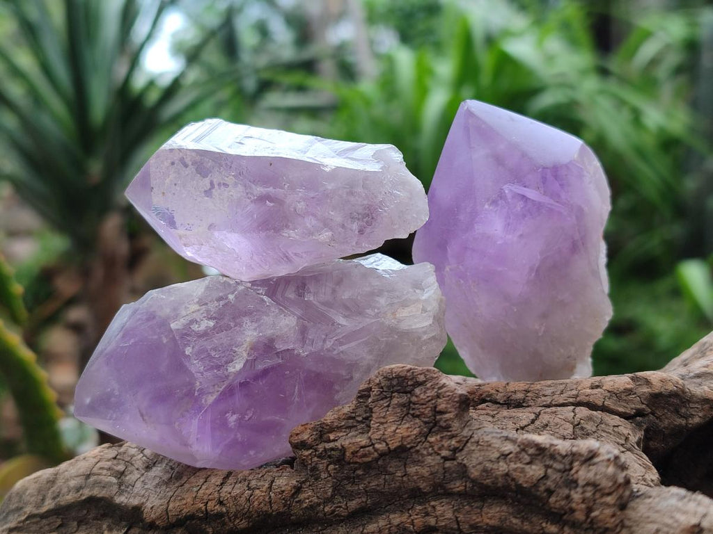 Polished Jacaranda Amethyst Crystals x 12 From Mumbwa, Zambia - Toprock Gemstones and Minerals 
