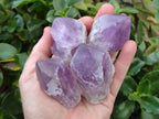 Polished Jacaranda Amethyst Crystals x 12 From Mumbwa, Zambia - Toprock Gemstones and Minerals 