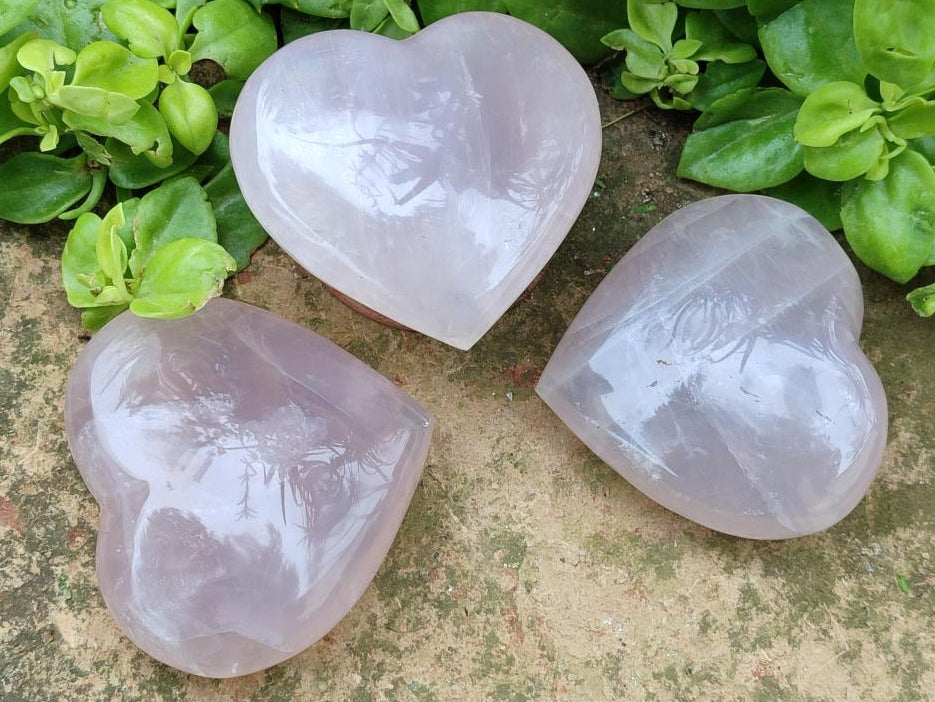 Polished Rose Quartz Hearts x 6 From Madagascar