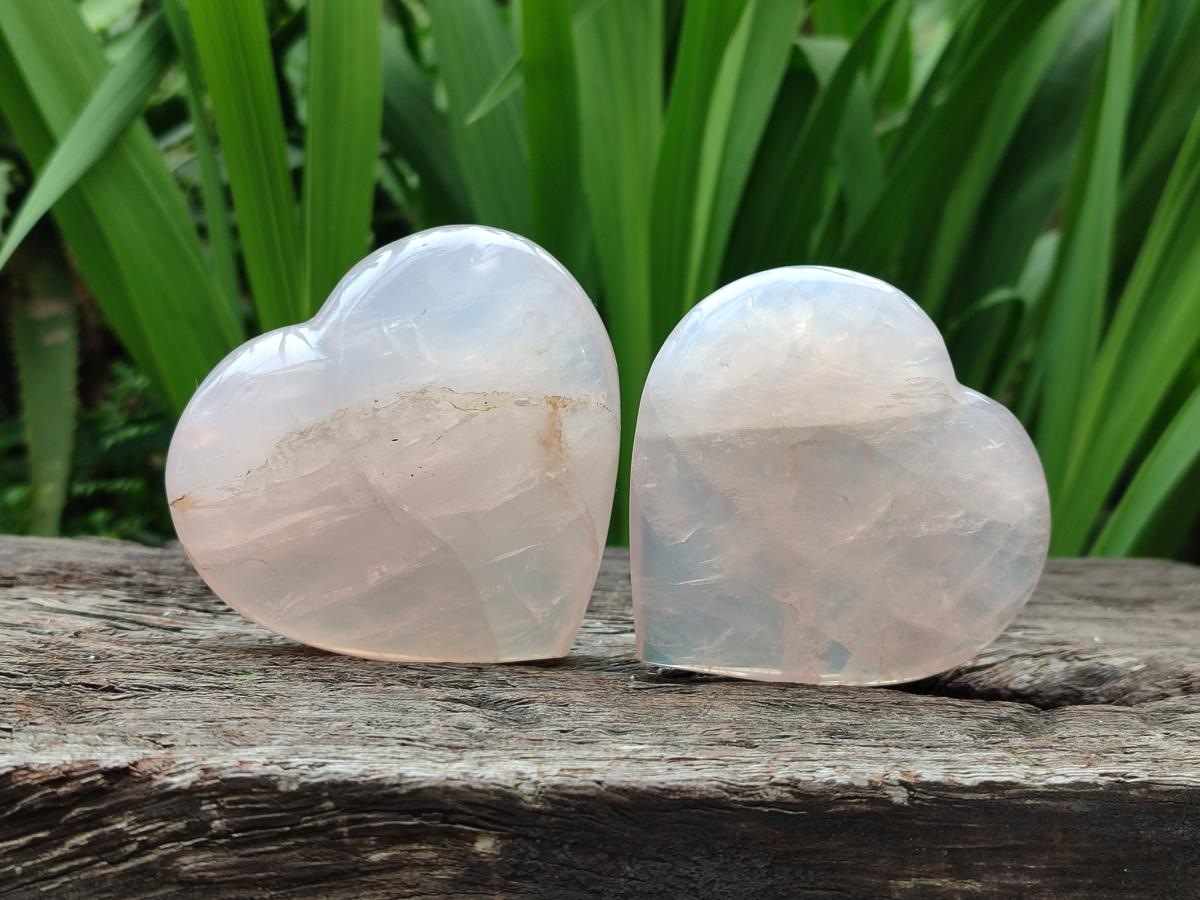 Polished Rose Quartz Hearts x 6 From Madagascar