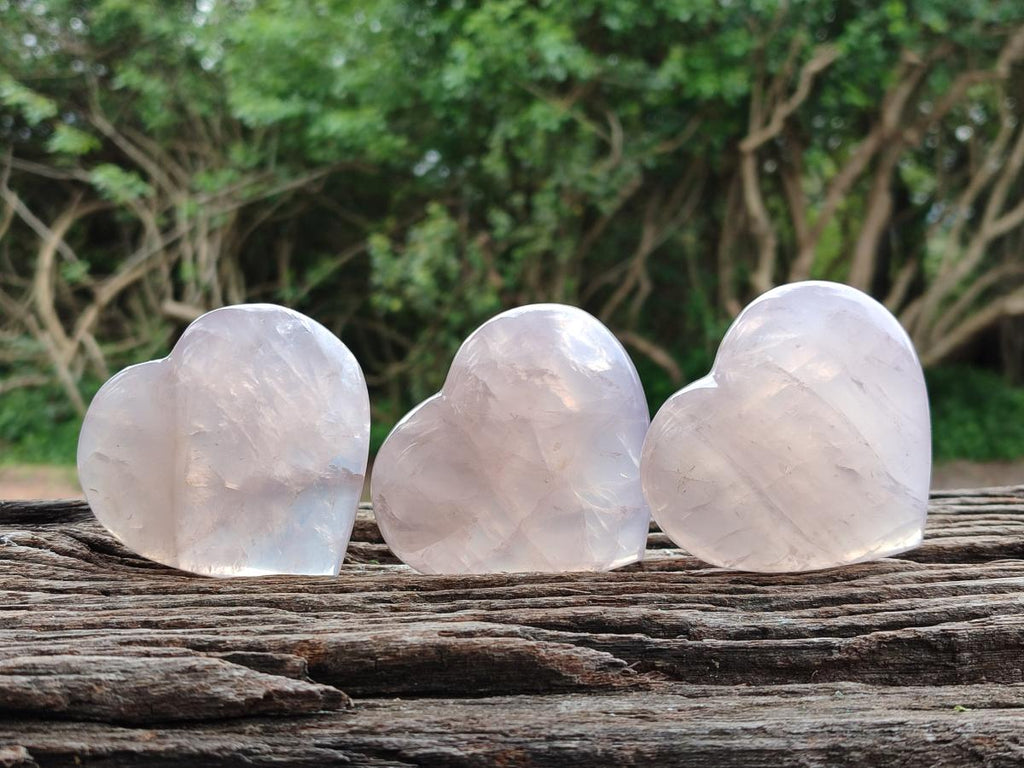 Polished Rose Quartz Hearts x 6 From Madagascar