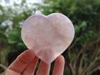 Polished Rose Quartz Hearts x 6 From Madagascar