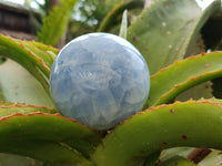 Polished Blue Calcite Spheres x 4 From Madagascar