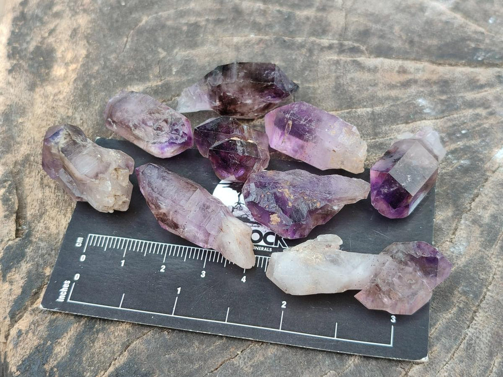 Natural Window Amethyst Crystals x 70 From Chiredzi, Zimbabwe