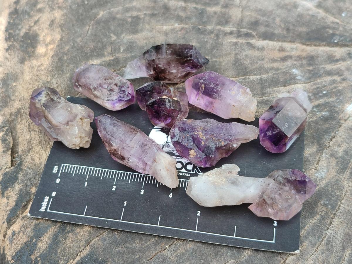 Natural Window Amethyst Crystals x 70 From Chiredzi, Zimbabwe