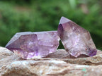 Natural Window Amethyst Crystals x 70 From Chiredzi, Zimbabwe