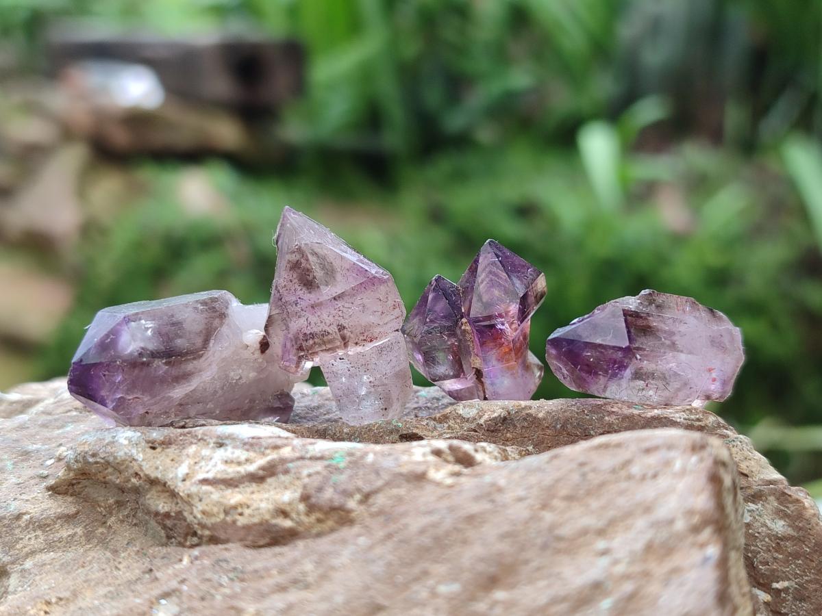 Natural Window Amethyst Crystals x 70 From Chiredzi, Zimbabwe