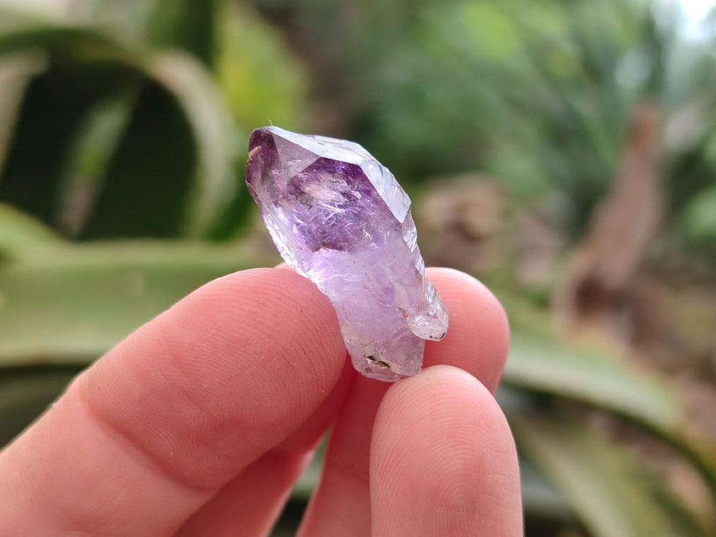 Natural Window Amethyst Crystals x 70 From Chiredzi, Zimbabwe