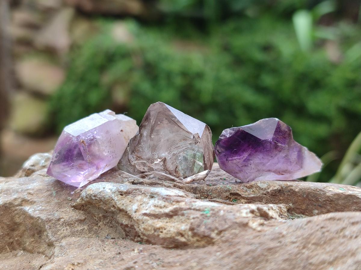 Natural Window Amethyst Crystals x 70 From Chiredzi, Zimbabwe