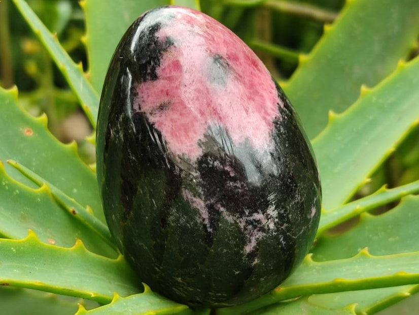 Polished Rhodonite Eggs x 6 From Ambindavato, Madagascar