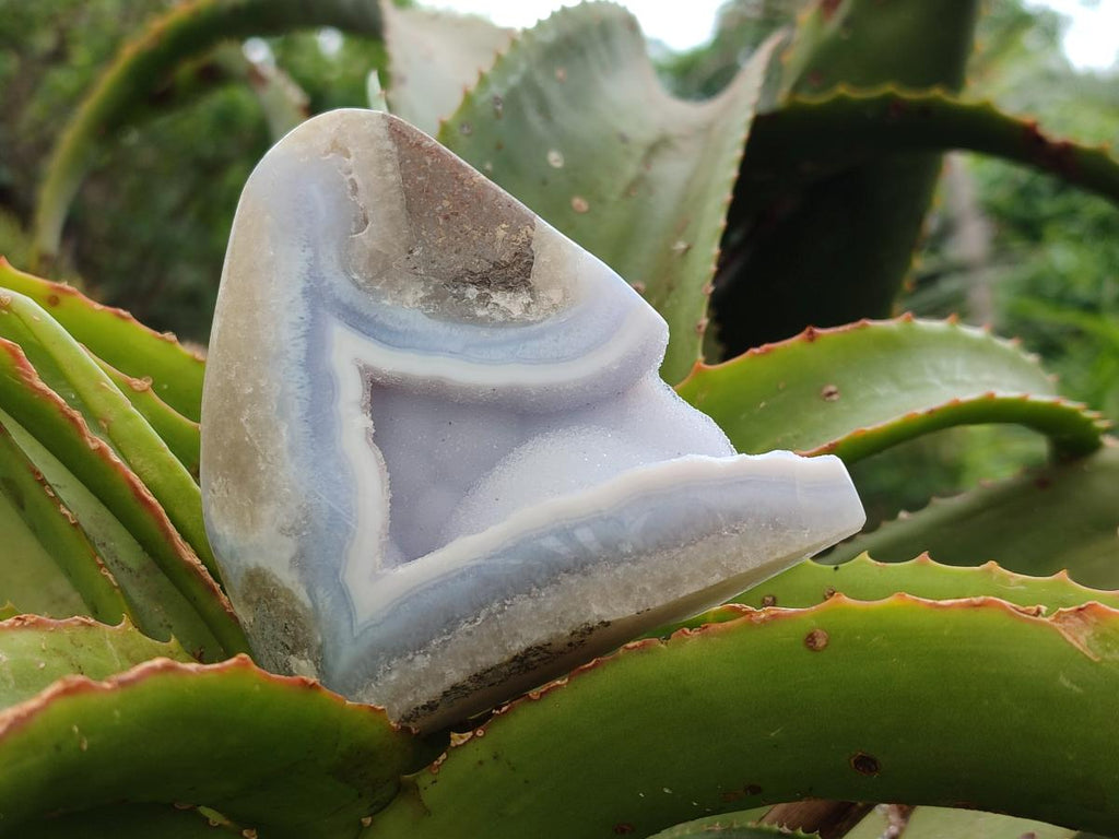 Polished Blue Lace Agate Standing Free Forms x 3 From Nsanje, Malawi