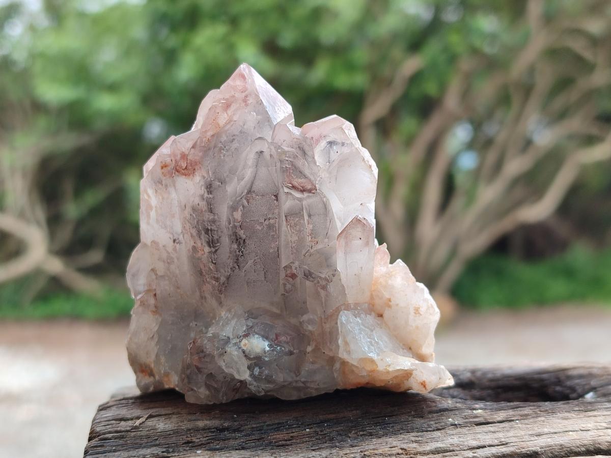 Natural Mix Of Multi Mineral Specimens x 12 From Southern Africa