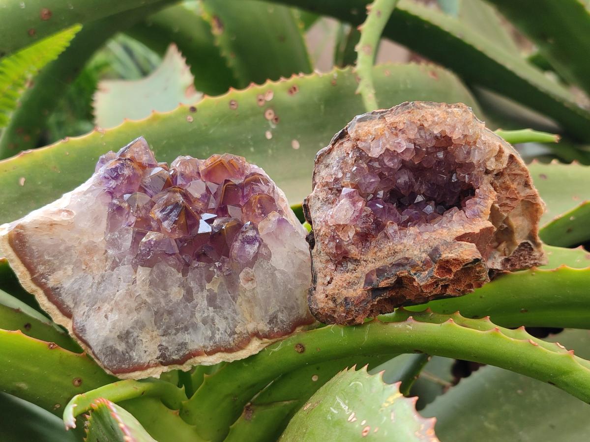 Natural Mix Of Multi Mineral Specimens x 12 From Southern Africa