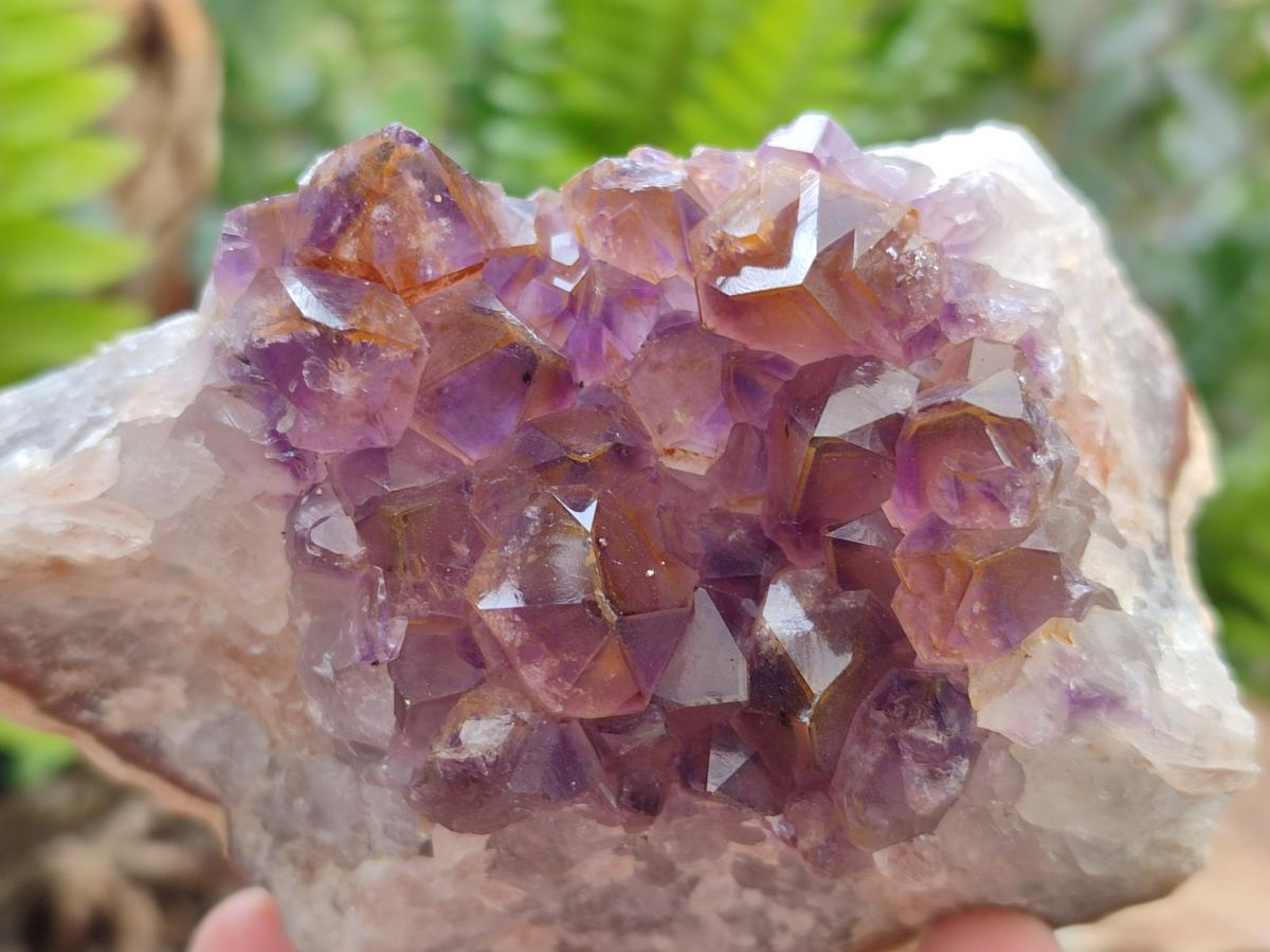 Natural Mix Of Multi Mineral Specimens x 12 From Southern Africa