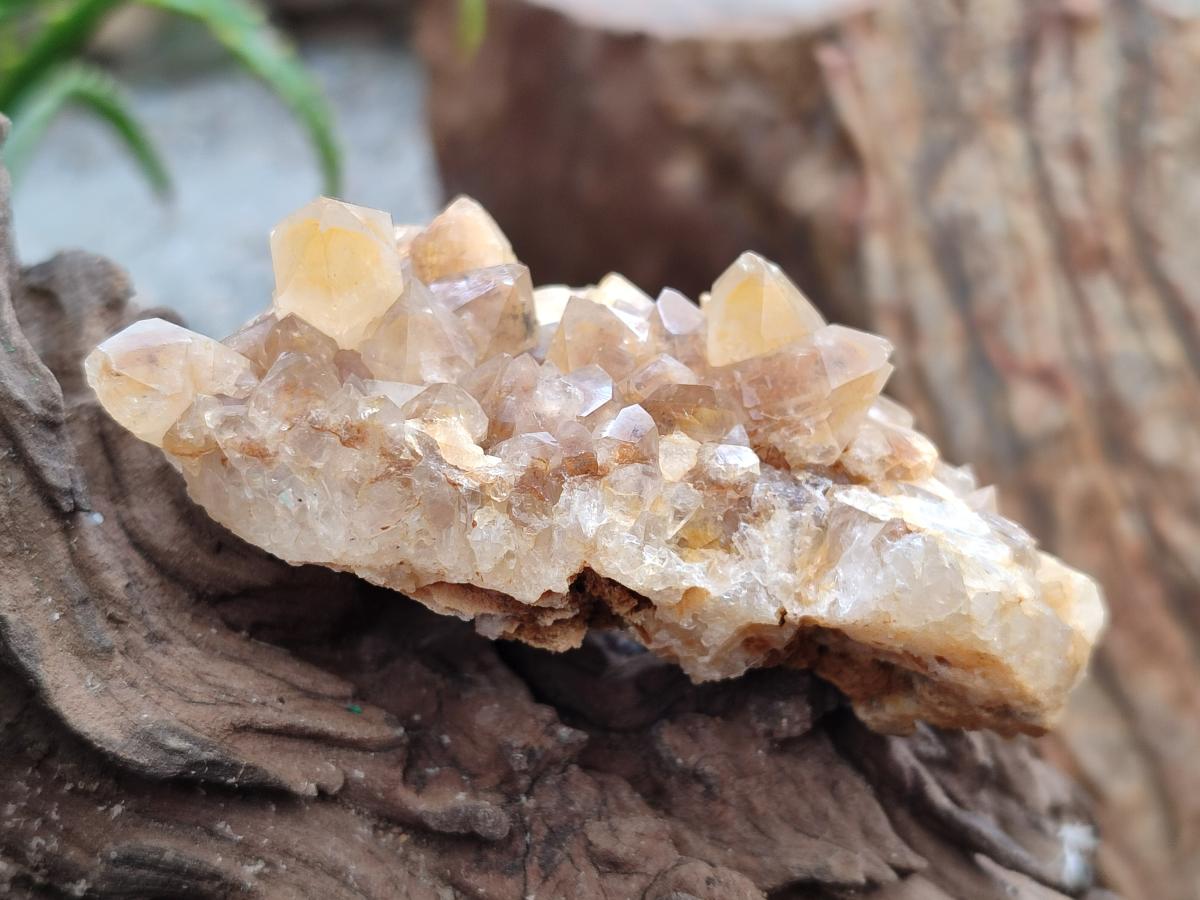 Natural Mix Of Multi Mineral Specimens x 12 From Southern Africa