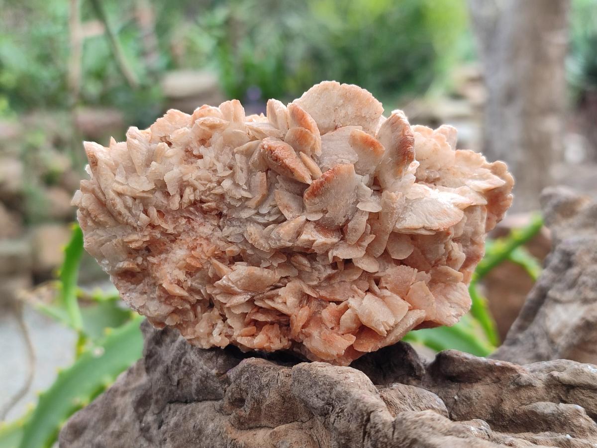 Natural Mix Of Multi Mineral Specimens x 12 From Southern Africa