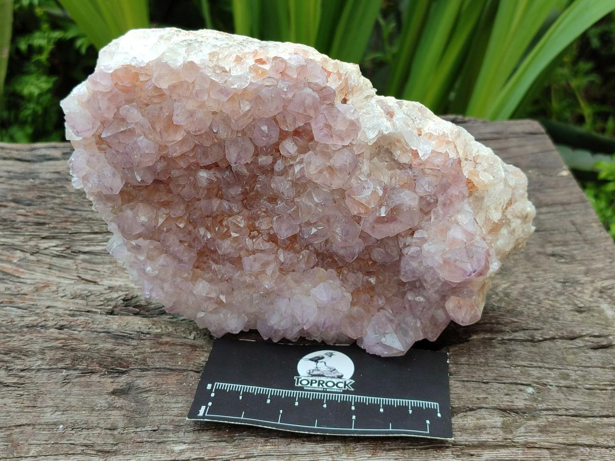 Natural Sunburst Amethyst Spirit Clusters x 2 From Boekenhouthoek, South Africa