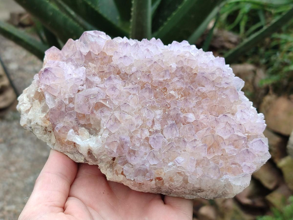Natural Sunburst Amethyst Spirit Clusters x 2 From Boekenhouthoek, South Africa