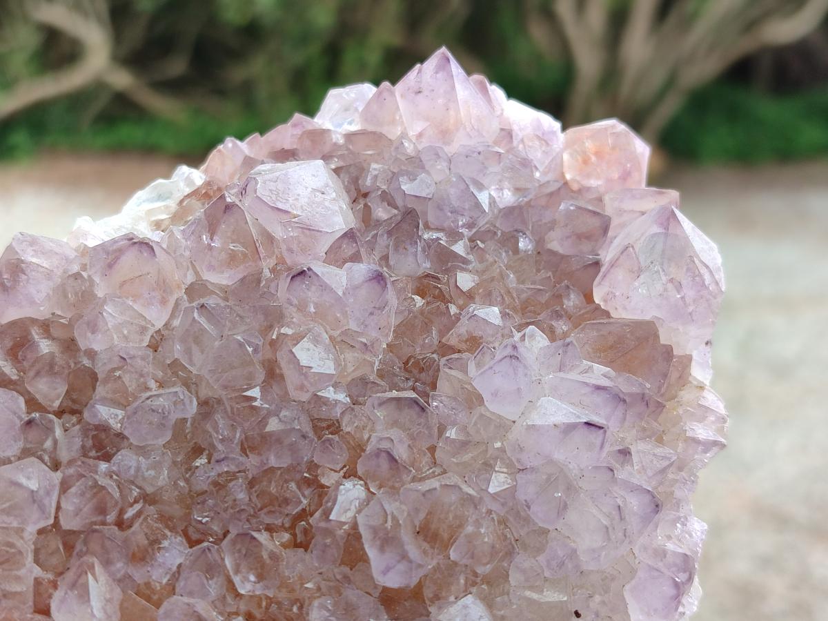 Natural Sunburst Amethyst Spirit Clusters x 2 From Boekenhouthoek, South Africa