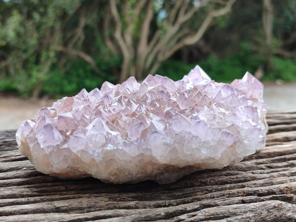 Natural Sunburst Amethyst Spirit Clusters x 2 From Boekenhouthoek, South Africa
