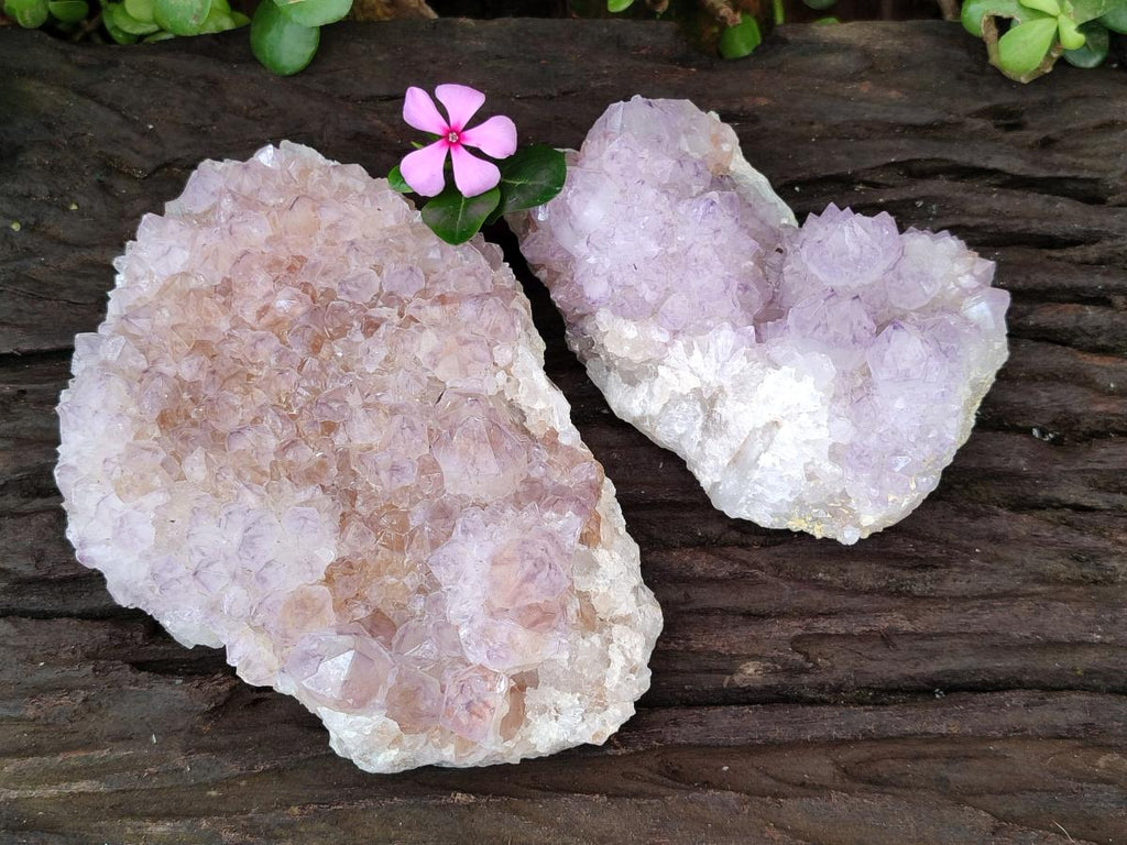 Natural Sunburst Amethyst Spirit Clusters x 2 From Boekenhouthoek, South Africa