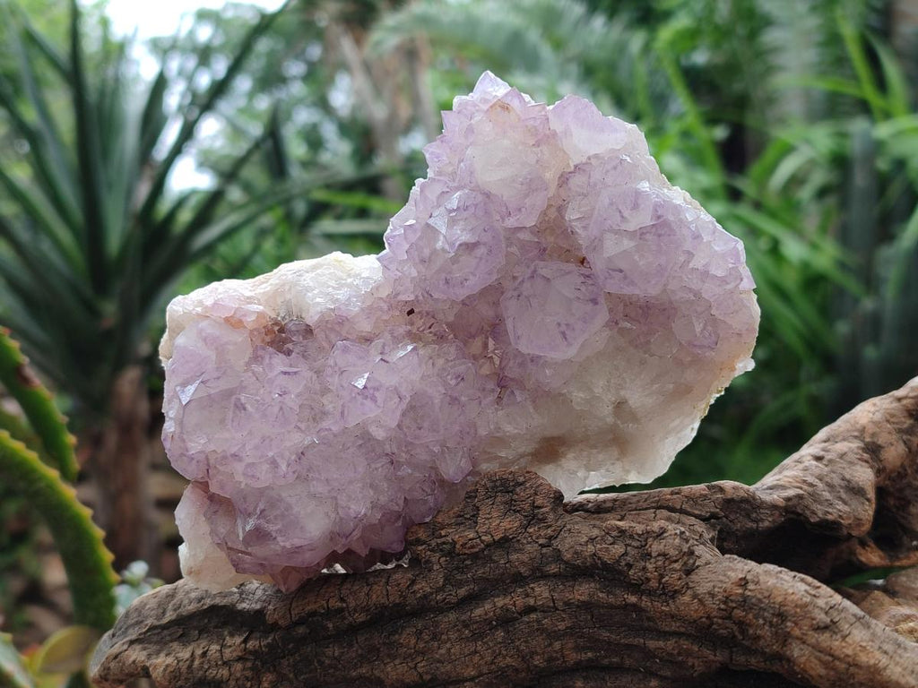 Natural Sunburst Amethyst Spirit Clusters x 2 From Boekenhouthoek, South Africa