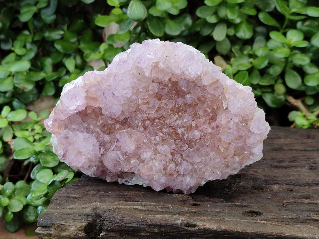 Natural Sunburst Amethyst Spirit Clusters x 2 From Boekenhouthoek, South Africa