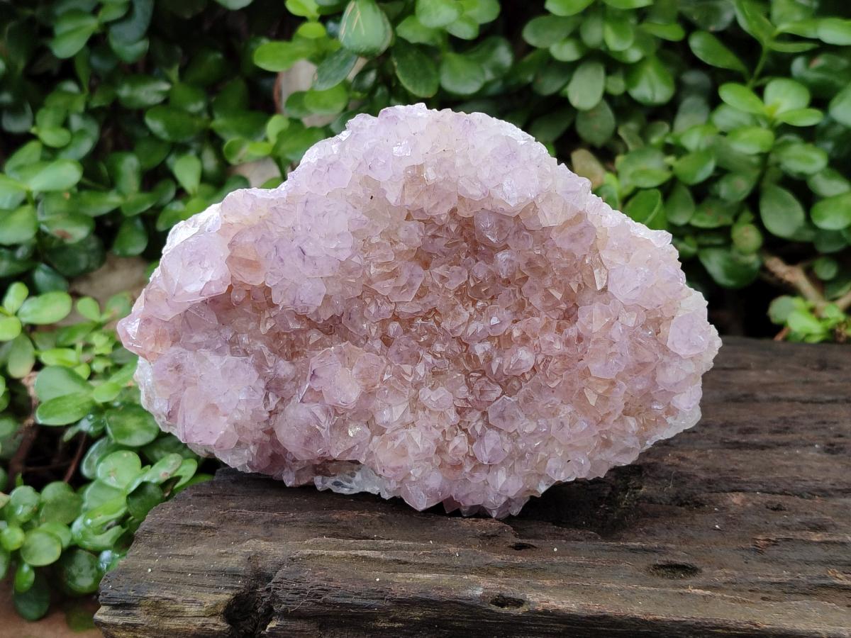 Natural Sunburst Amethyst Spirit Clusters x 2 From Boekenhouthoek, South Africa