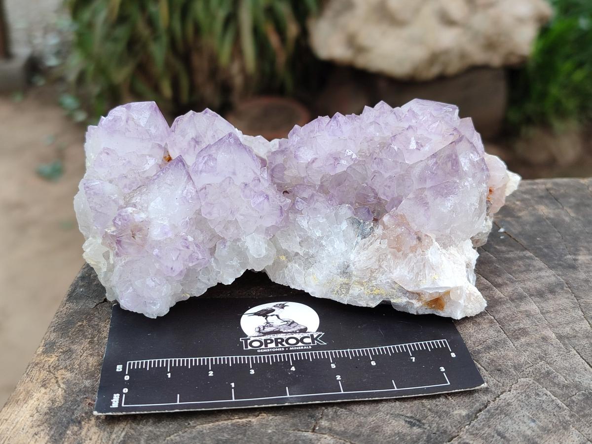 Natural Sunburst Amethyst Spirit Clusters x 2 From Boekenhouthoek, South Africa