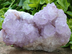 Natural Sunburst Amethyst Spirit Clusters x 2 From Boekenhouthoek, South Africa