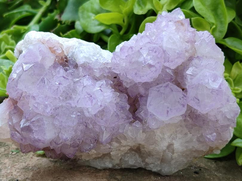 Natural Sunburst Amethyst Spirit Clusters x 2 From Boekenhouthoek, South Africa