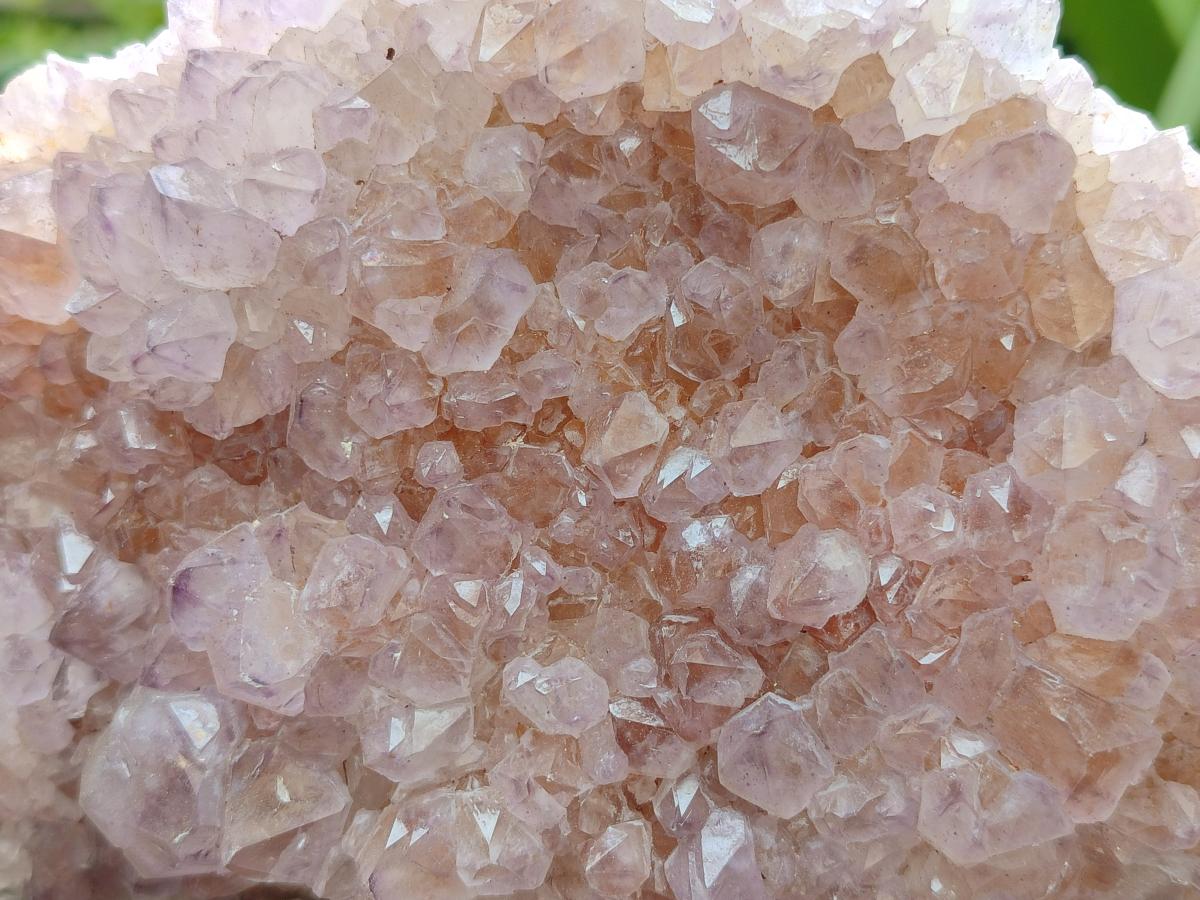 Natural Sunburst Amethyst Spirit Clusters x 2 From Boekenhouthoek, South Africa