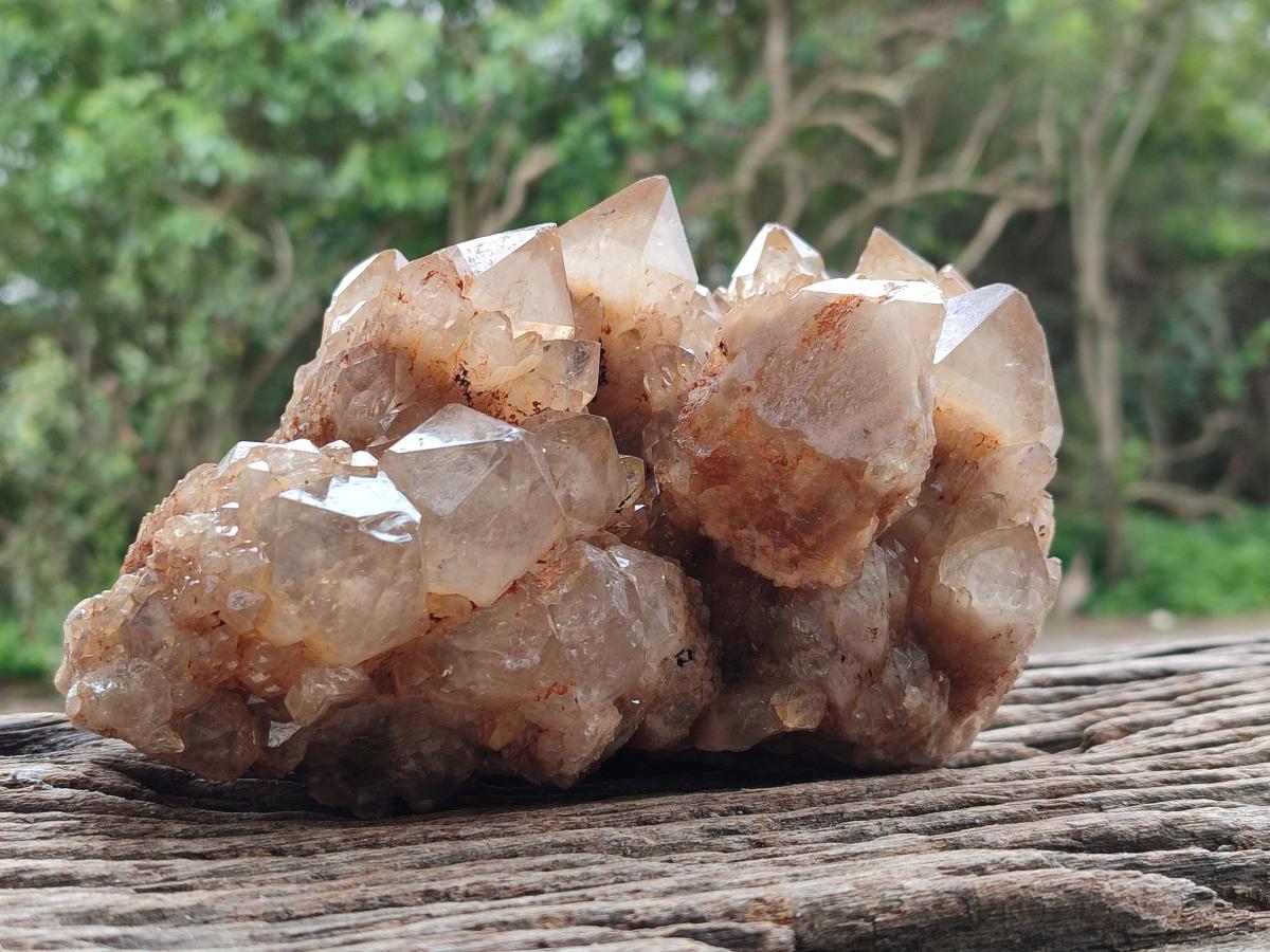 Natural Large Smokey Phantom Quartz Cluster x 1 From Luena, Congo