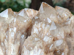 Natural Large Smokey Phantom Quartz Cluster x 1 From Luena, Congo