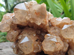 Natural Large Smokey Phantom Quartz Cluster x 1 From Luena, Congo